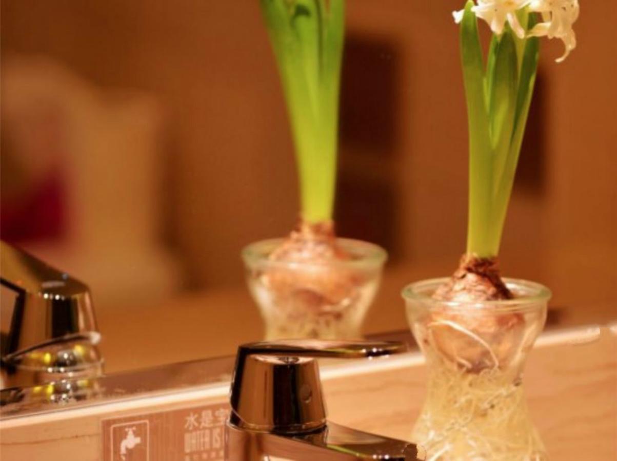 Greentree Inn Beijing Dongcheng District Wangfujin South Luogu Lane Houhai Express Hotel Exterior foto